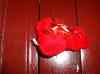 HPIM0258.JPG - 2006:08:05 23:32:48