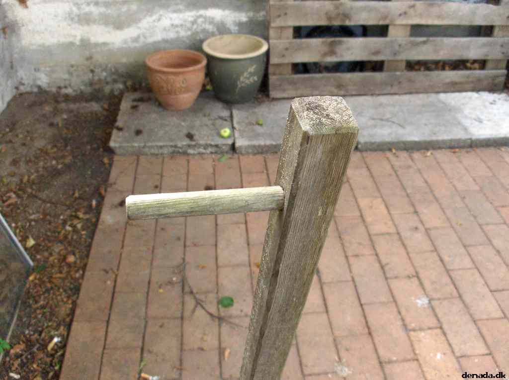 * Image 4