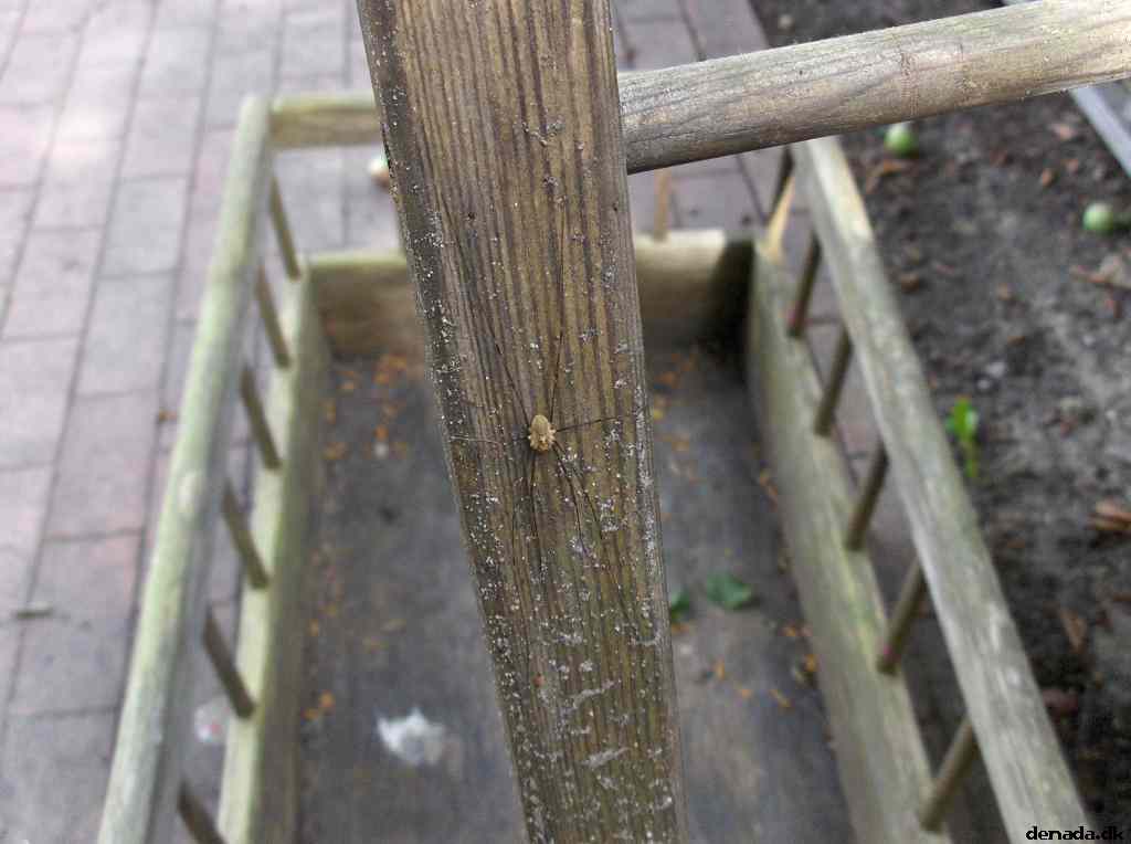 * Image 8