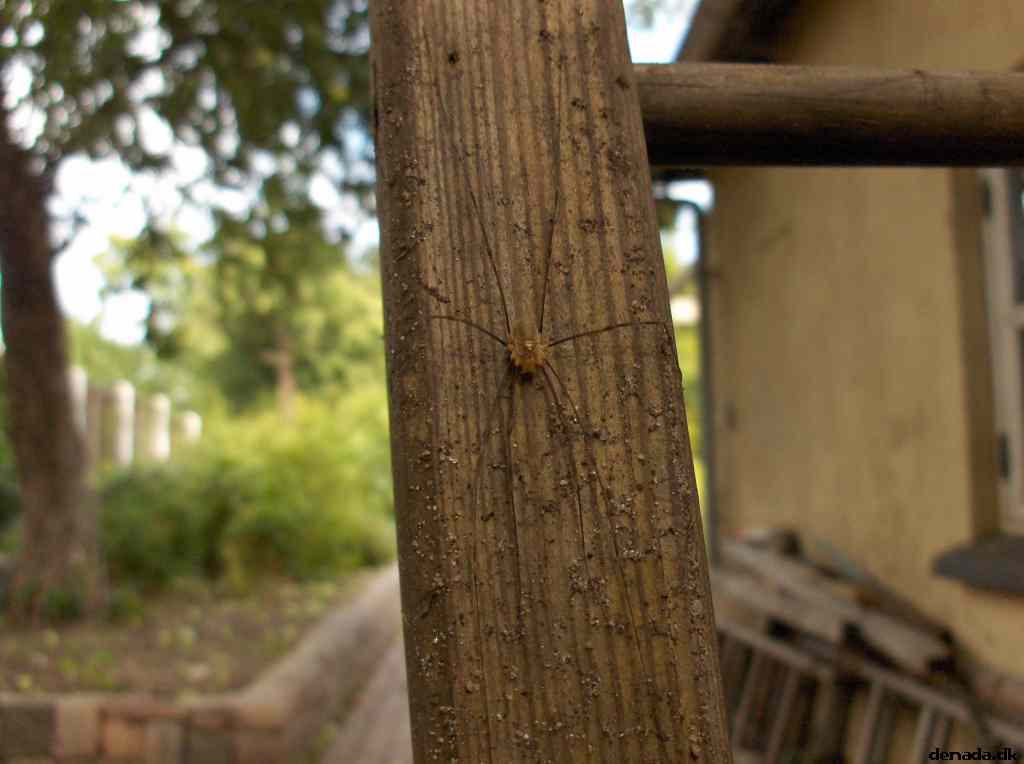 * Image 9