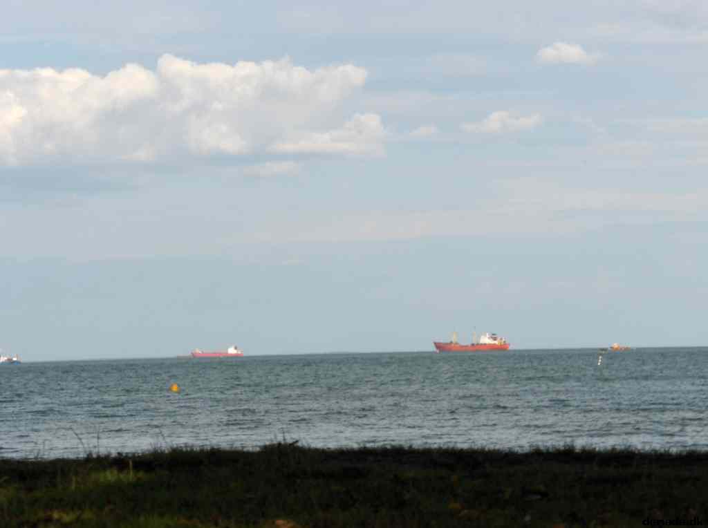 * Image 17