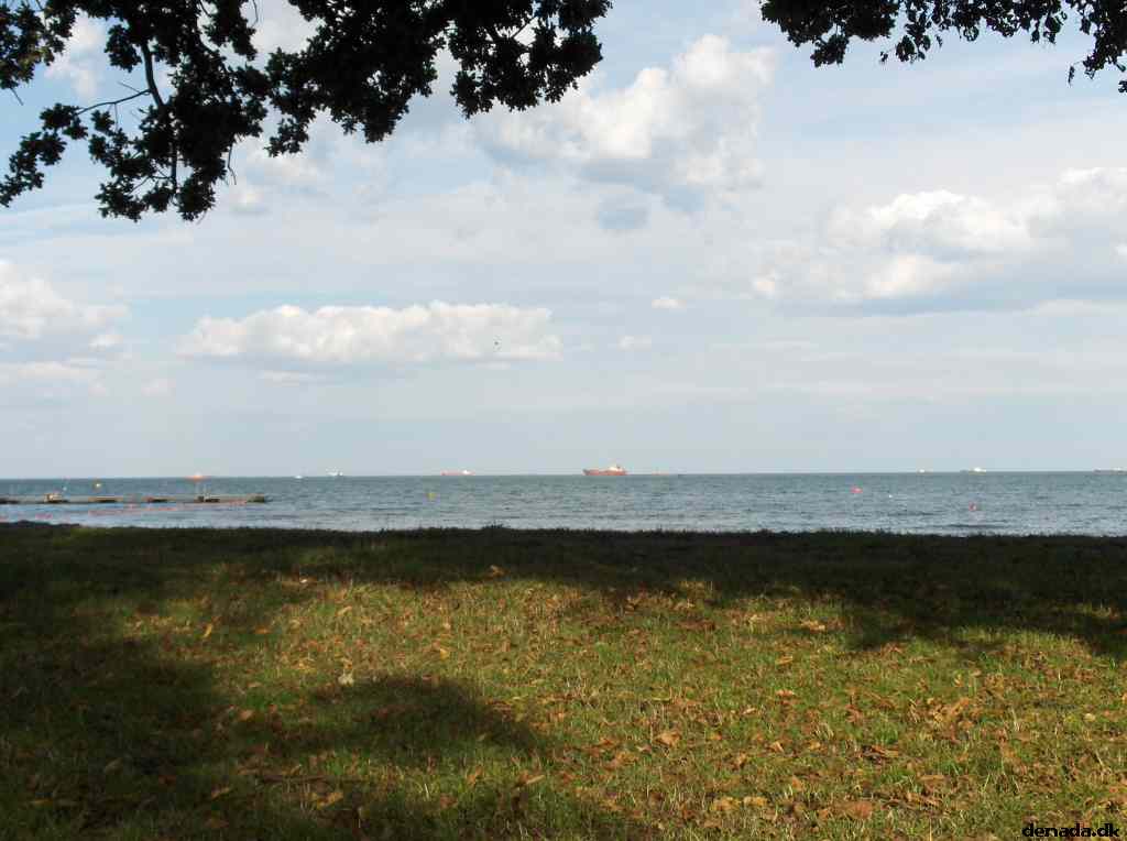 * Image 18