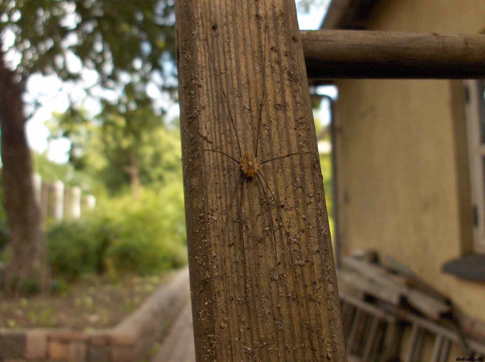 * Image 9