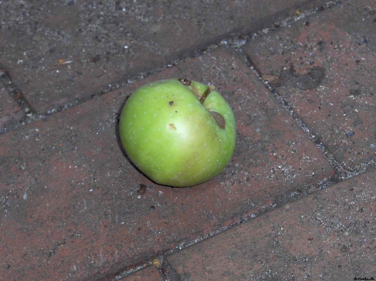 * Image 11