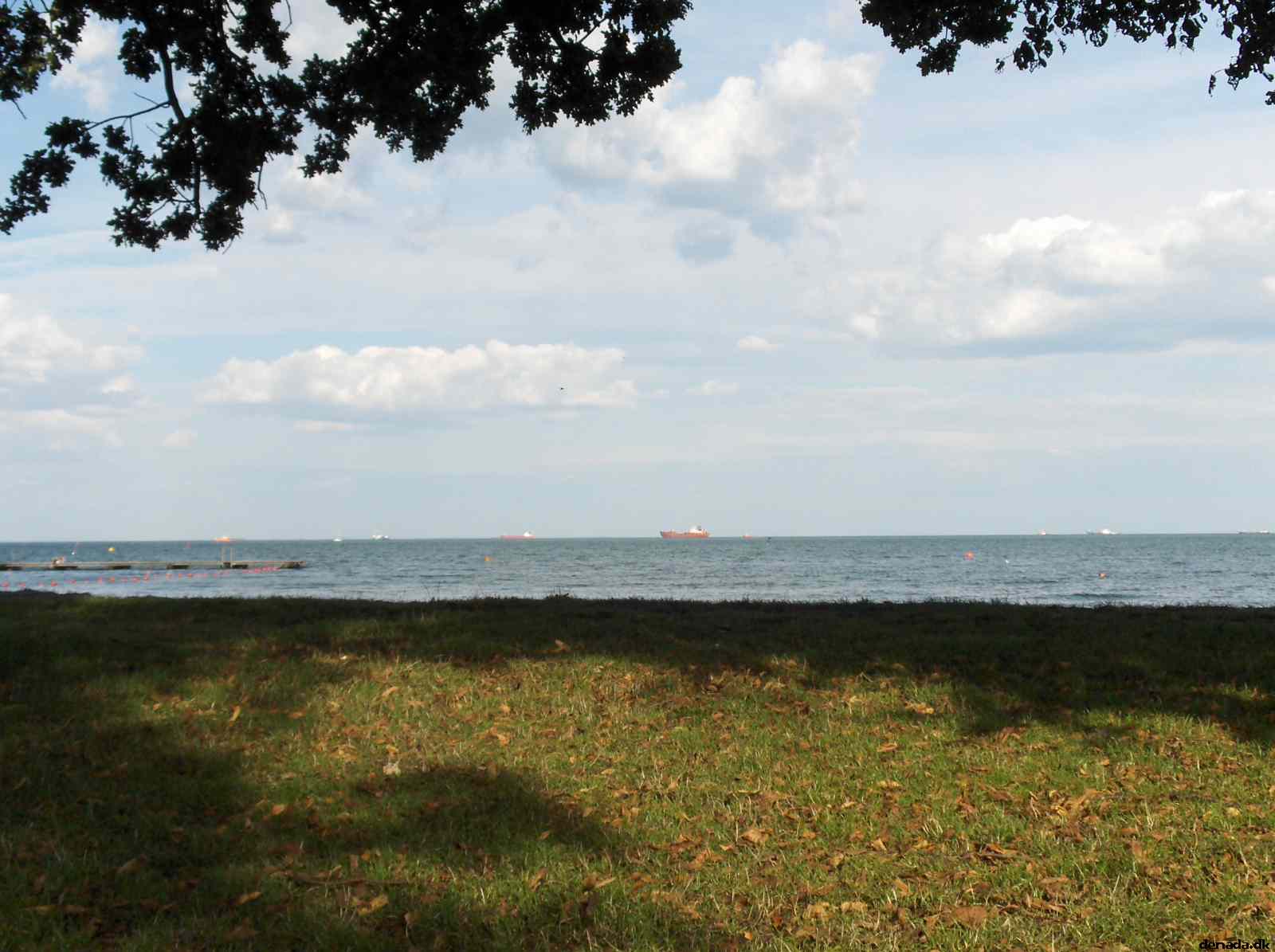 * Image 18
