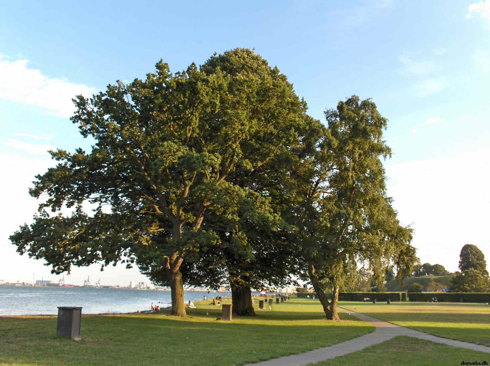 * Image 32