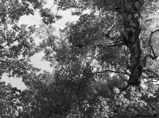 * Image 15