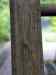 HPIM0192.JPG - 2006:08:05 15:58:08