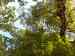HPIM0209.JPG - 2006:08:05 17:44:23