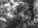 HPIM0211.JPG - 2006:08:05 17:44:34
