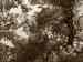 HPIM0212.JPG - 2006:08:05 17:44:37