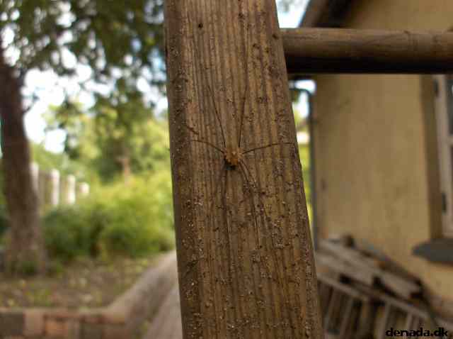 * Image 9