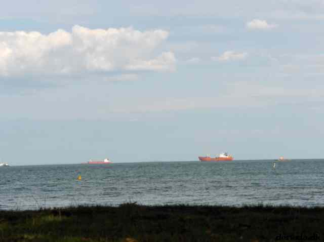 * Image 17