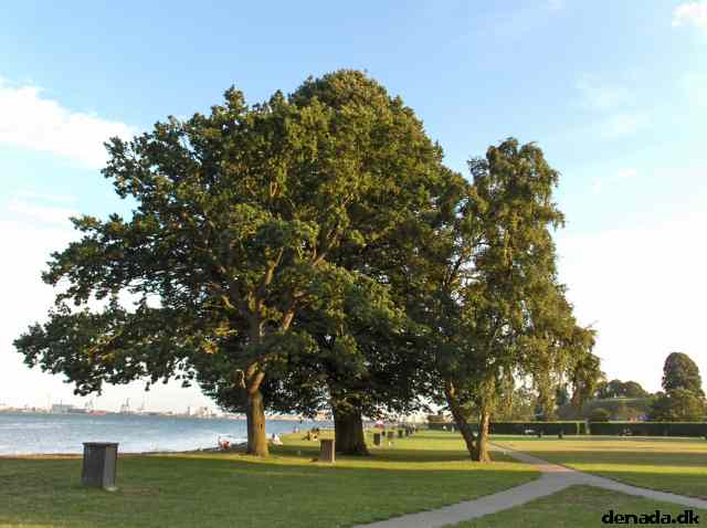 * Image 32