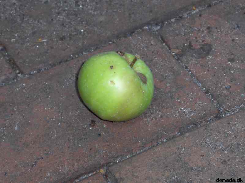 * Image 11