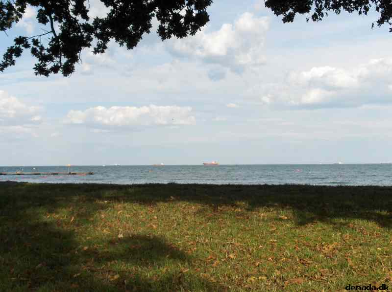 * Image 18
