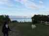 HPIM0289.JPG - 2006:08:10 19:49:13