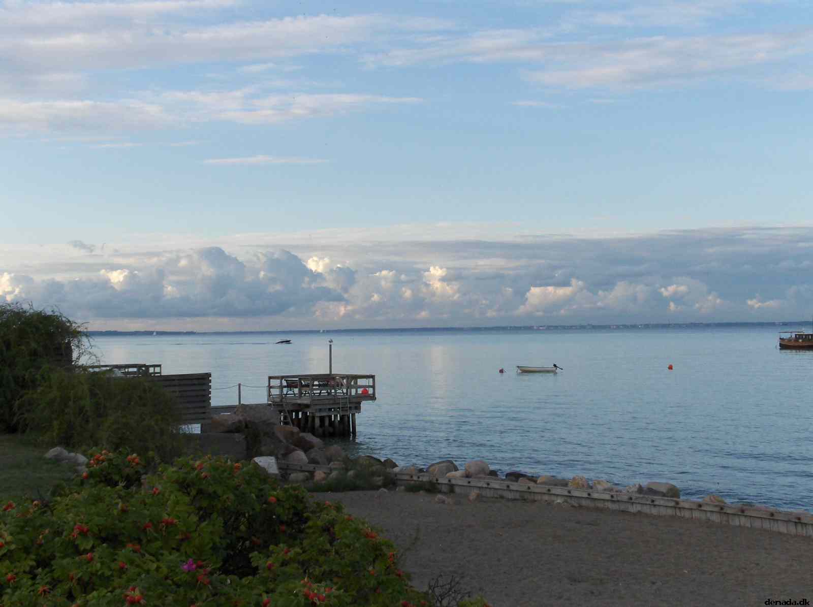 * Image 3