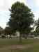 HPIM0295.JPG - 2006:08:10 20:09:51