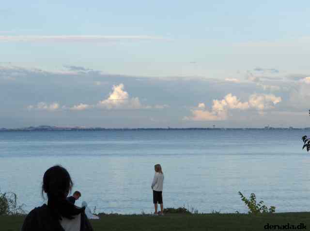 * Image 2