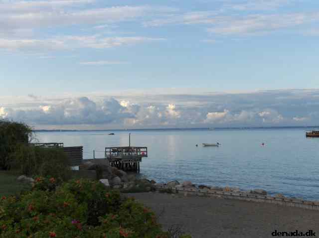 * Image 3