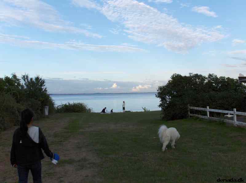 * Image 1