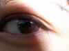 HPIM0389.JPG - 2006:08:19 19:44:51