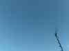HPIM0395.JPG - 2006:08:19 20:02:54