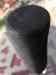 HPIM0355.JPG - 2006:08:19 17:10:50