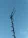 HPIM0394.JPG - 2006:08:19 20:02:34