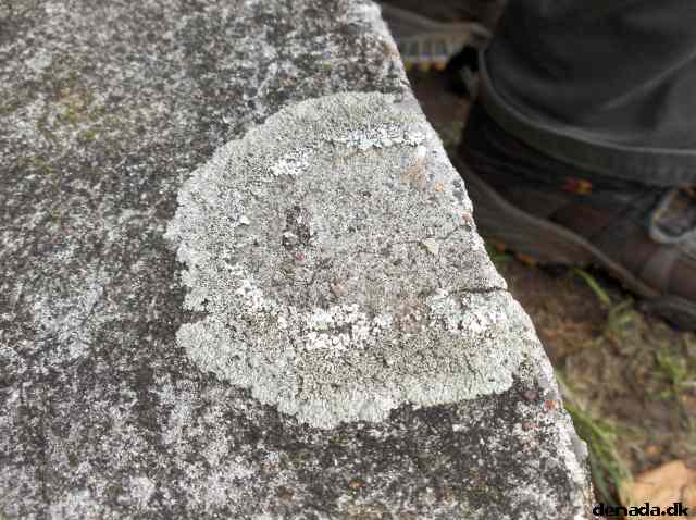 * Image 92
