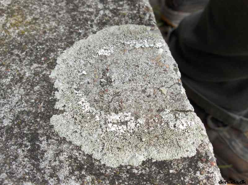 * Image 91