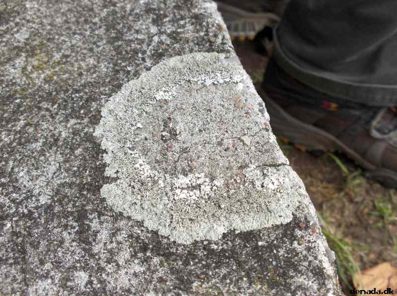 * Image 92