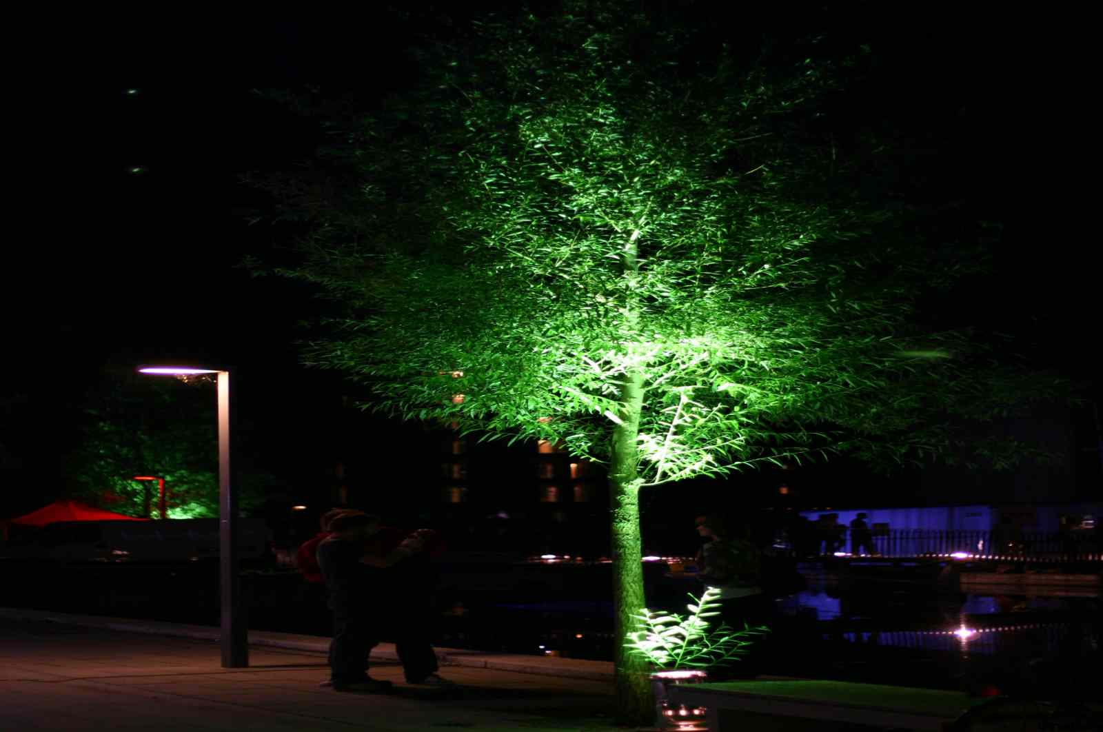 * Image 95