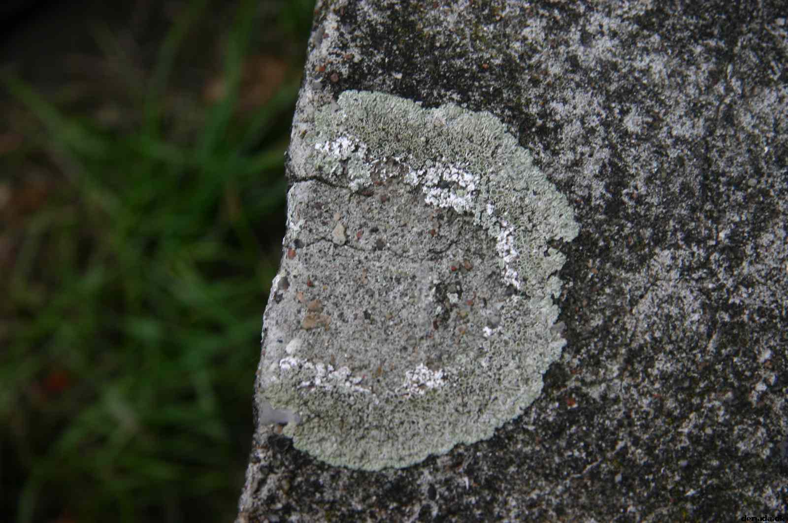* Image 32