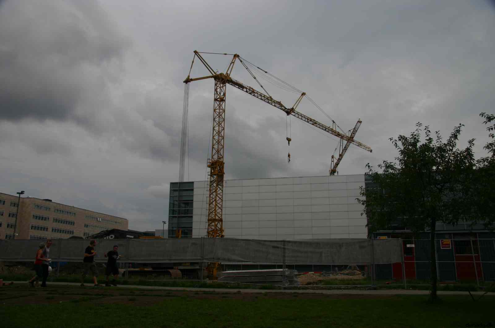 * Image 35