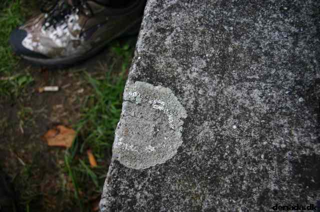 * Image 31