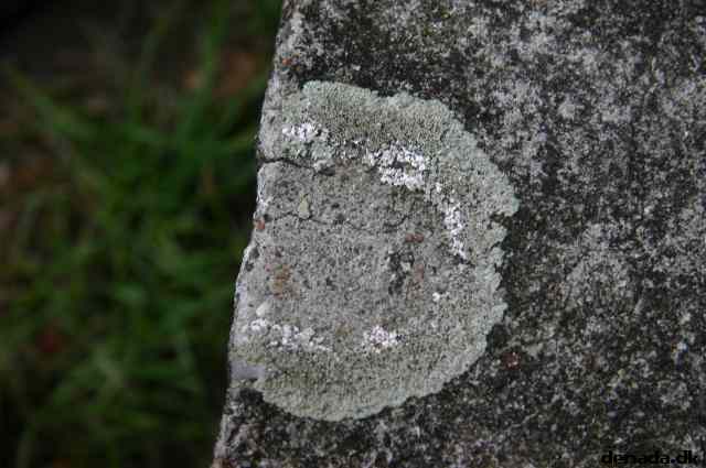 * Image 32