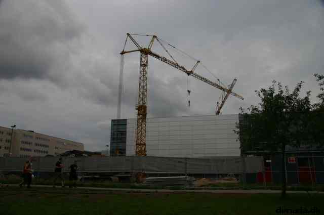 * Image 35