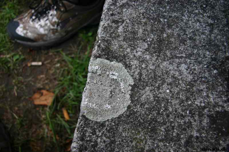 * Image 31