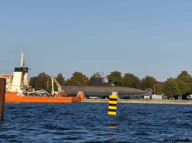 * Image 49
