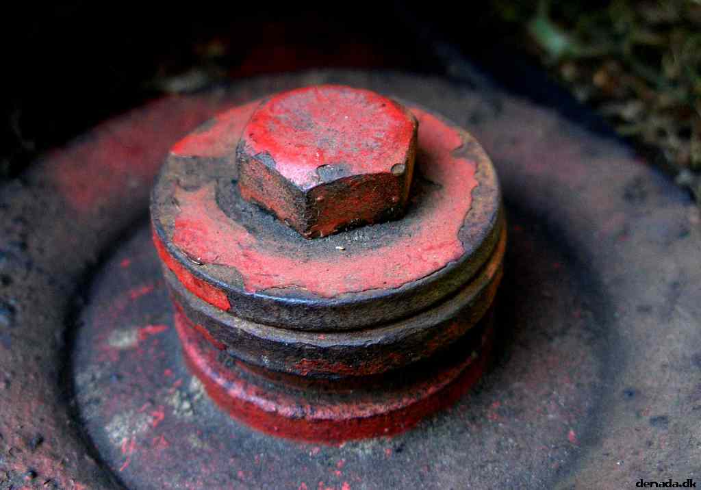 * Image 3