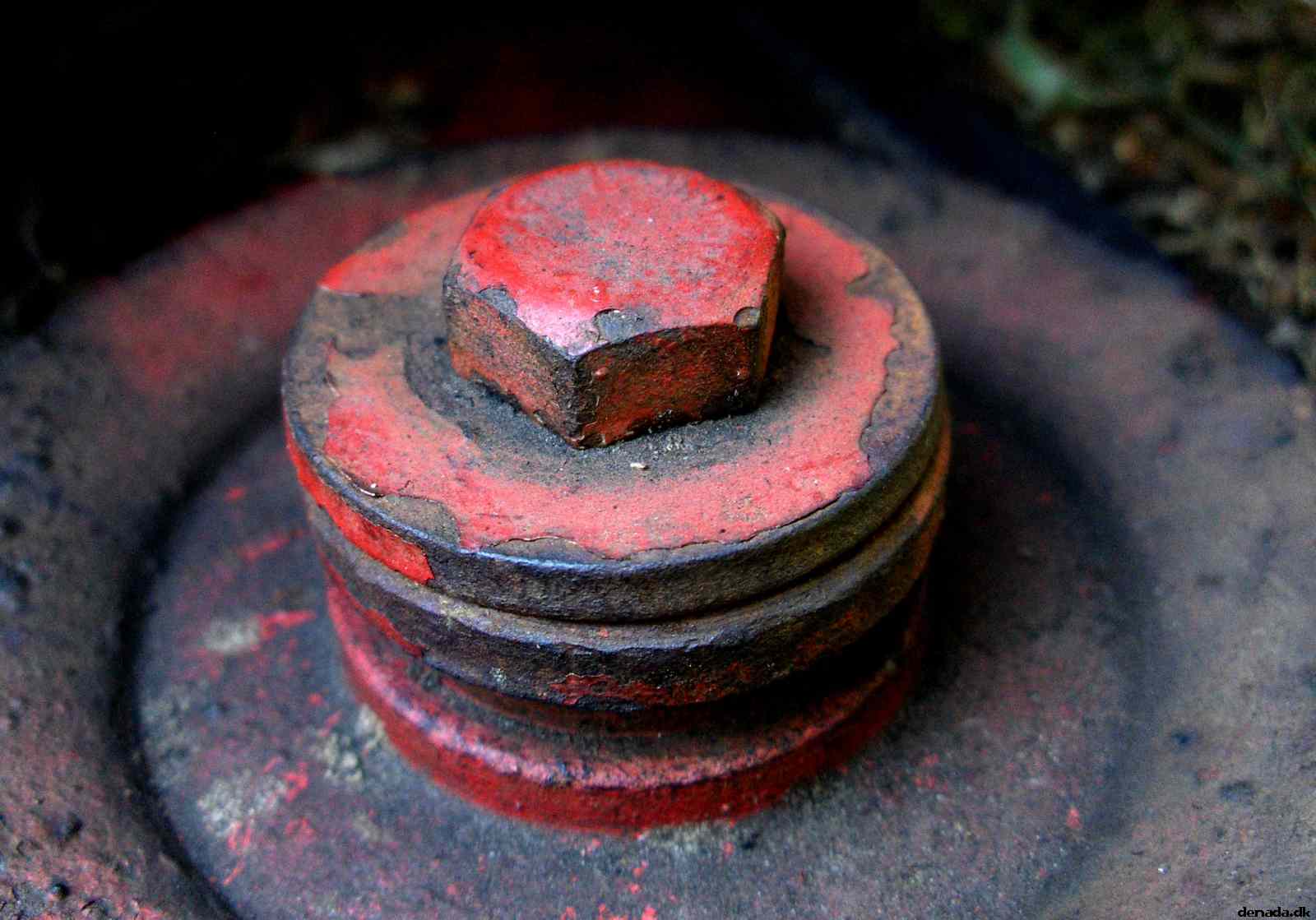 * Image 3