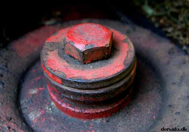 * Image 3
