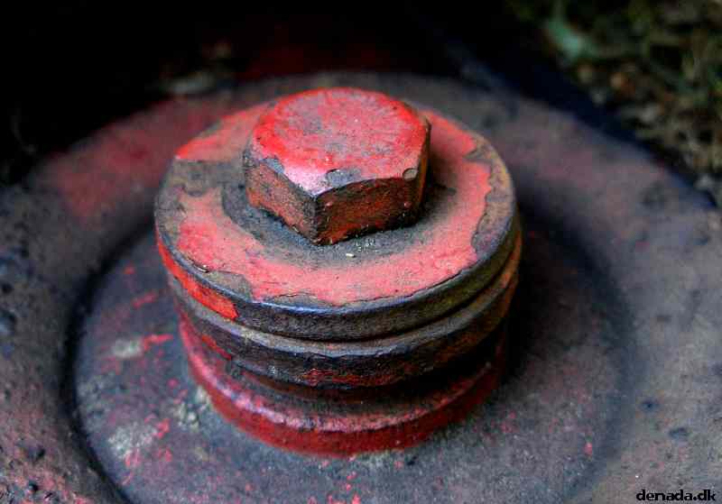 * Image 3