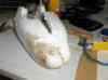 HPIM0958.JPG - 2006:09:29 11:41:28