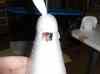 HPIM0960.JPG - 2006:09:29 11:41:50