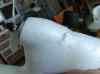 HPIM0961.JPG - 2006:09:29 11:41:56