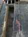 HPIM0988m.jpg - 2006:10:20 08:28:17