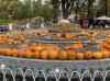 HPIM0991.JPG - 2006:10:22 13:55:33